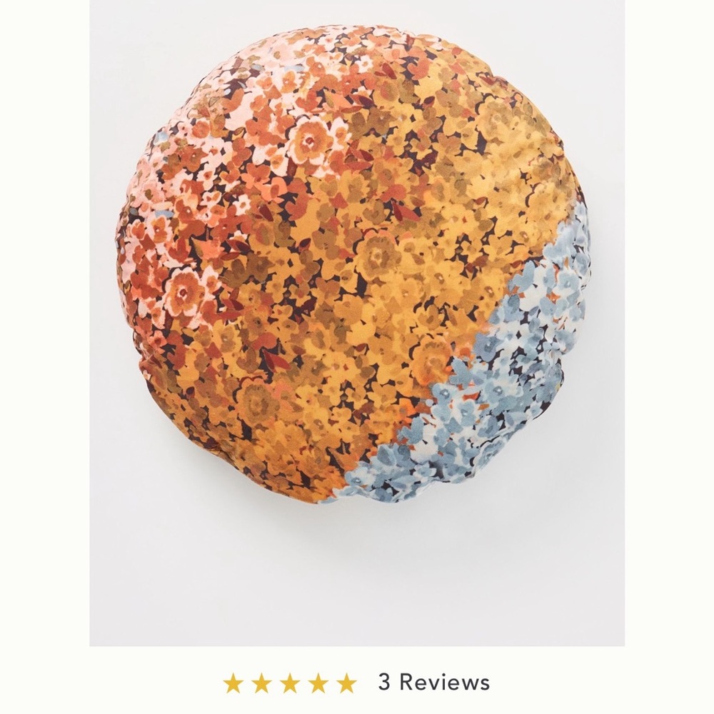Anthropologie Velvet Pillow